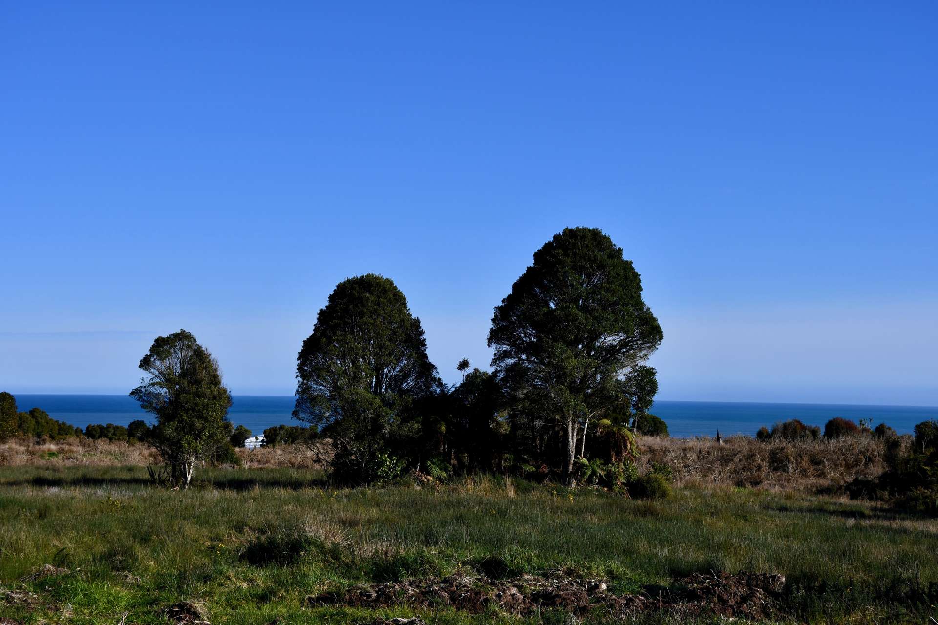 Lot 2 South Terrace Karamea_0