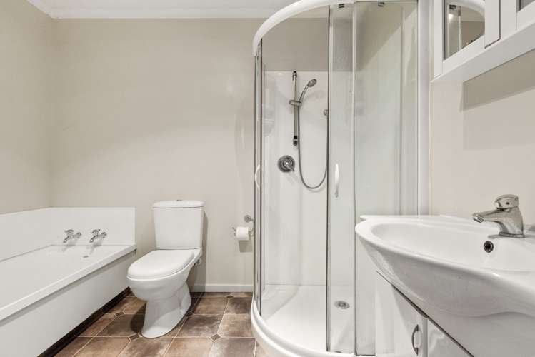 59b Geddis Avenue Maraenui_11