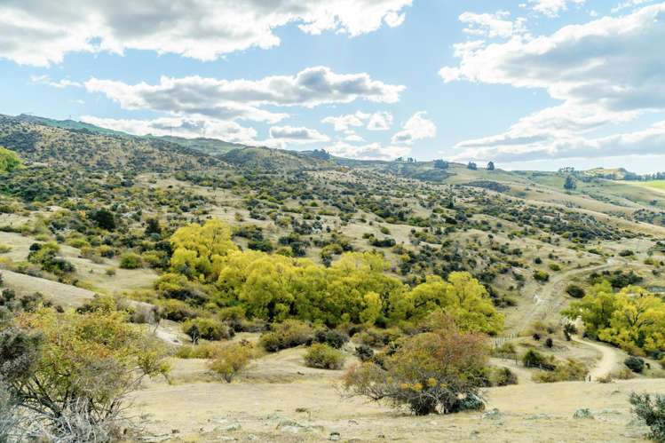 Lot 1 Fruitlands-Roxburgh Road Roxburgh_6