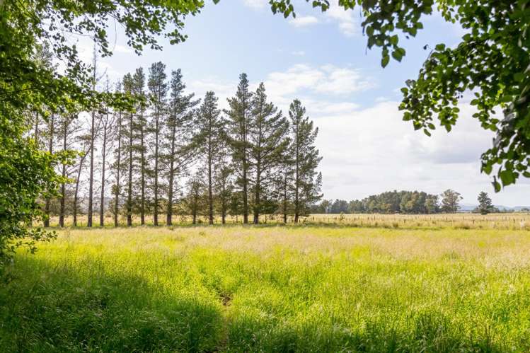 179 Bidwills Cutting Road_5