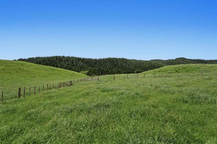 26 Settlement Road Pikowai_12