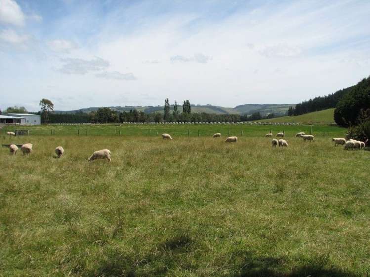 1259 Lakeside Road Milton_8