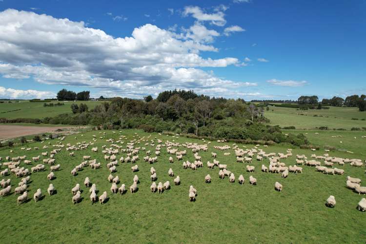 493 Rakahouka Hedgehope Road Winton Surrounds_20