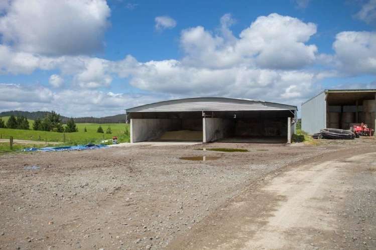 1308 Mossop Road Kinleith_6