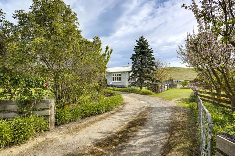 137 Swamp Road Fernhill_1