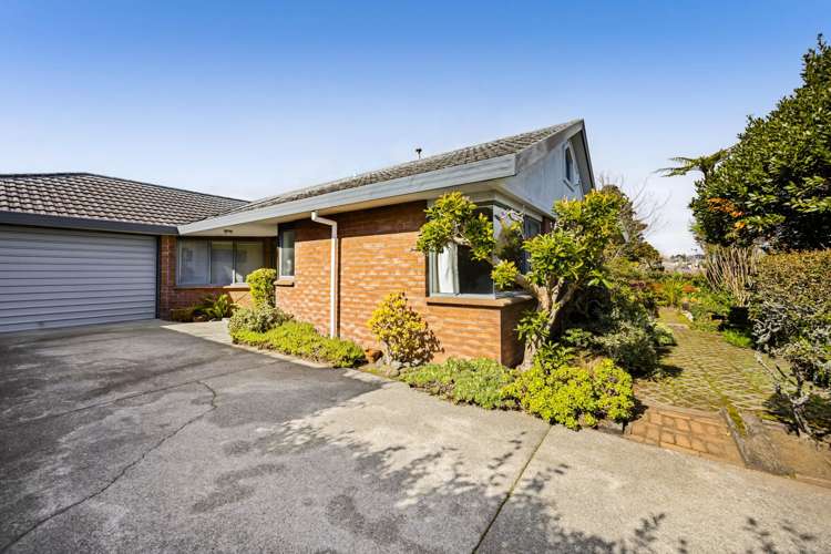 217 Carrington Street Vogeltown_15
