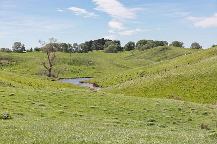 300 Pattison Road Waipukurau_17