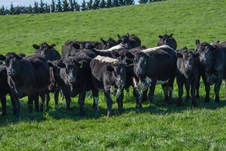 795 Omihi Road Waipara_12