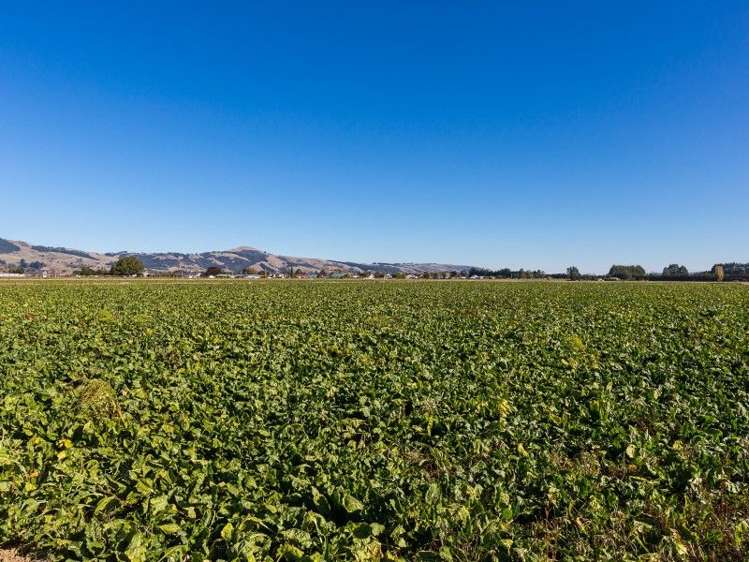 257 Gordon Road Mosgiel_9