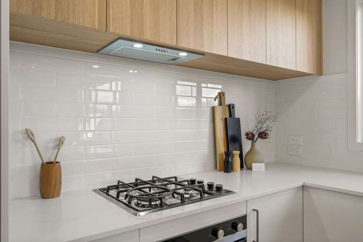 50 Kotukutuku Street_3