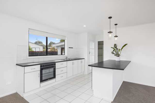 17 Duke Avenue Pukekohe_2