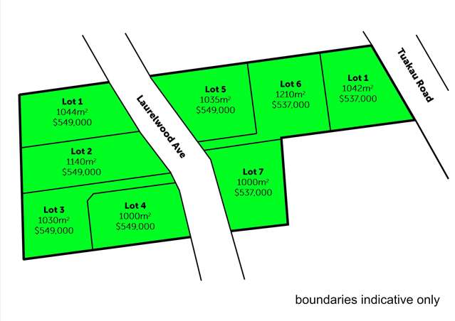 Tuakau Road Pukekohe_1