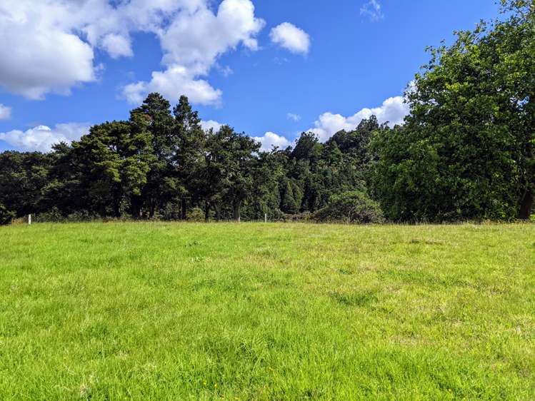 634 West Coast Road Makarau_13