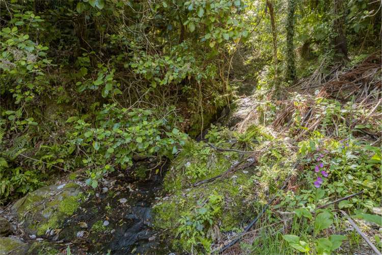 304 State Highway 1 Anakiwa and Surrounds_25