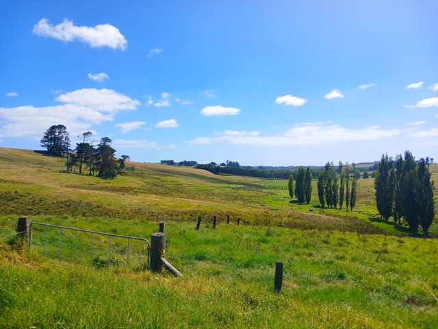 State Highway 10 Kaingaroa_3