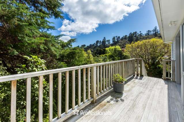 96 Kamahi Street Stokes Valley_1