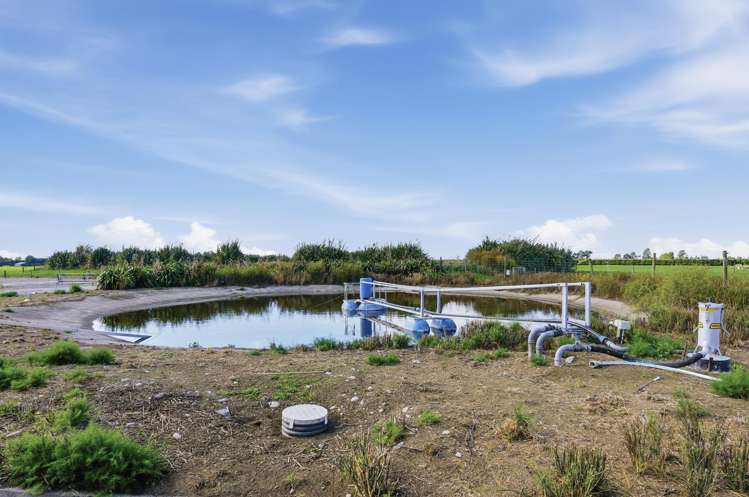 263 Domain Road Oxford_17