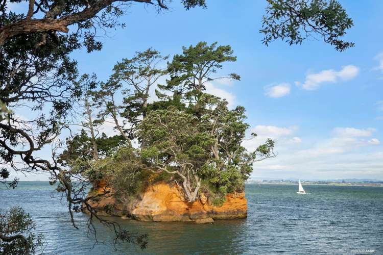 11 Tainui Road Awhitu_10