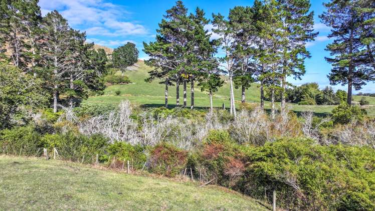 183b Thorp Road Paeroa_18