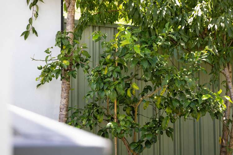 3/11 Ngaio Street Takapuna_21