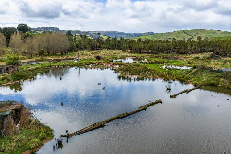 1550 Glenora Road Akitio_5