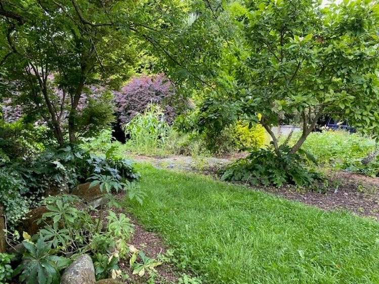 8a Coles Street Geraldine_0