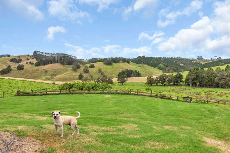 265 Taipuha Road Mangapai and Surrounds_20