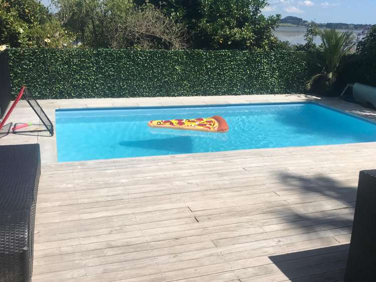 62 Aldersgate Road Hillsborough_19