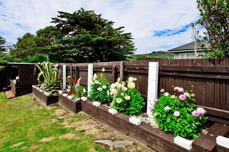 236 Foyle Street Bluff_10