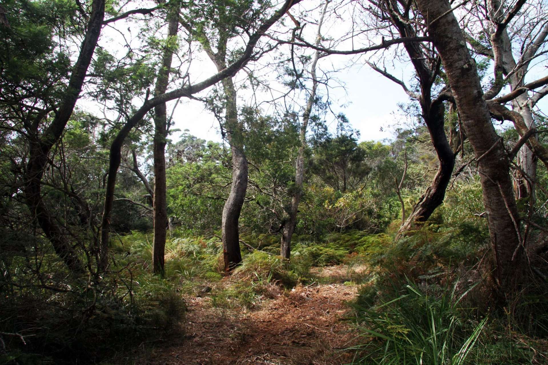 63 Trig Road Houhora Far North Houses for Sale One Roof