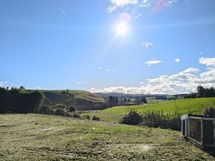 24c Thurso Street Lawrence_6