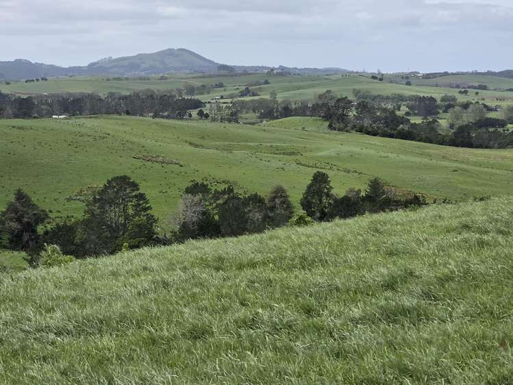 148 Malone Road Kokopu_23