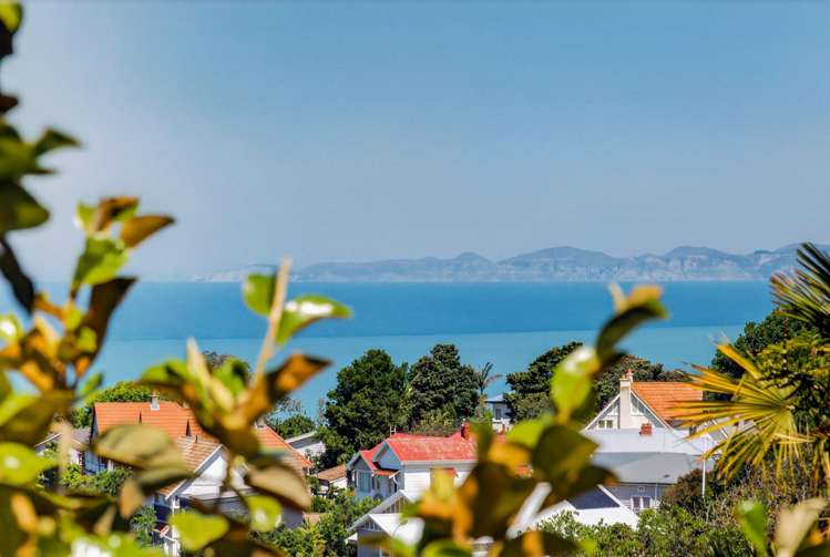 18A Harvey Road Bluff Hill_3