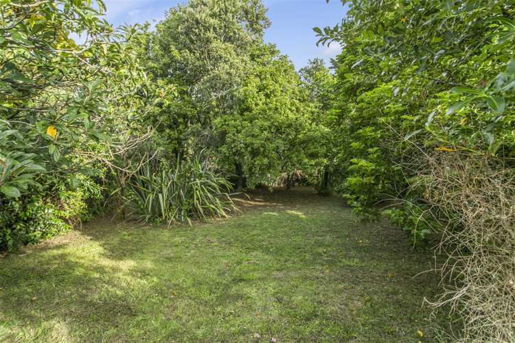 28 Westmere Crescent Westmere_11