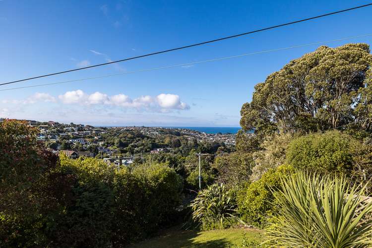 98 Dunrobin Street Waverley_17