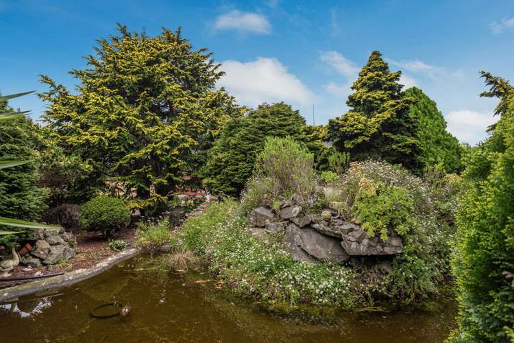 187 Tablelands Road Tirohanga_34