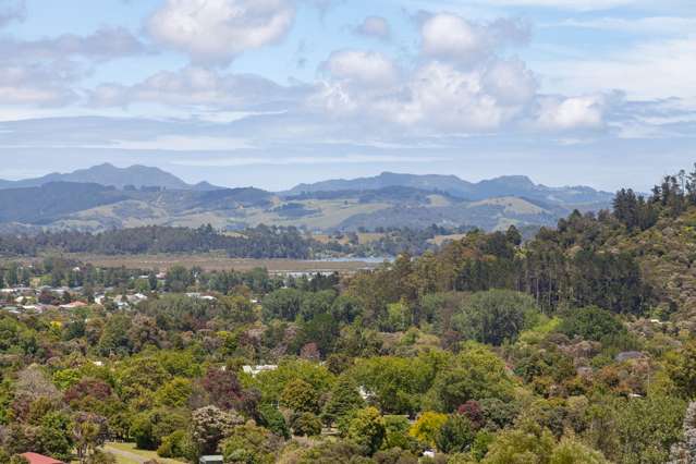 420 Bellville Drive Coromandel_2