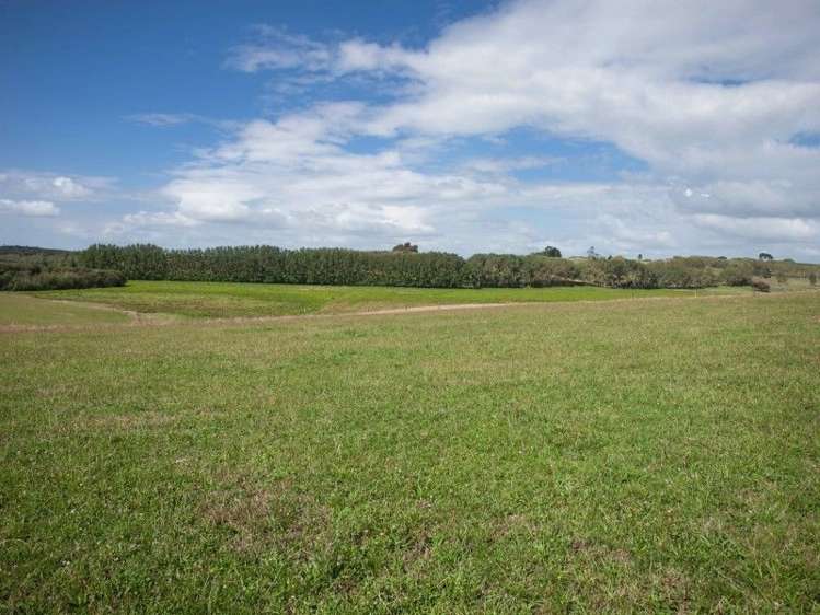 137 Sanson Road Ruawaro_39