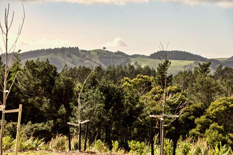 1 Maea Rise Beachlands_13