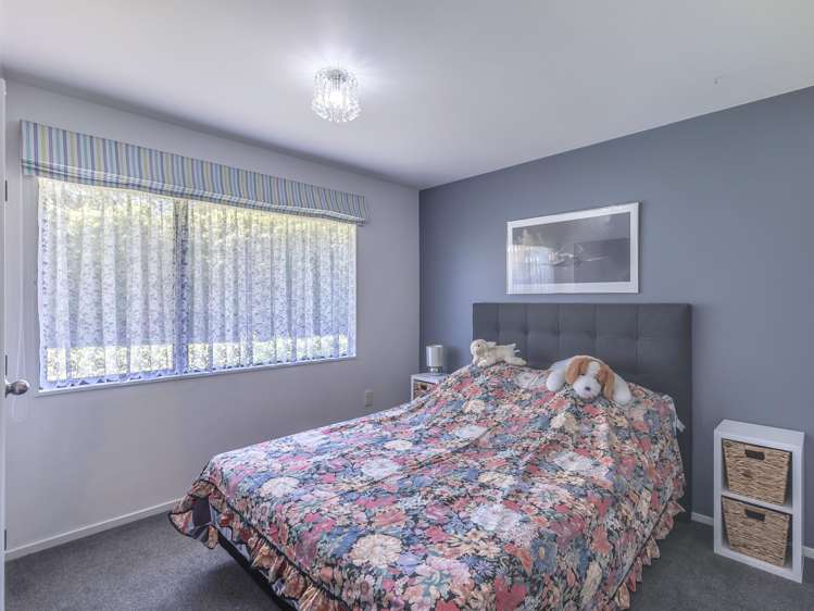 59 Avenue North Road Levin_6