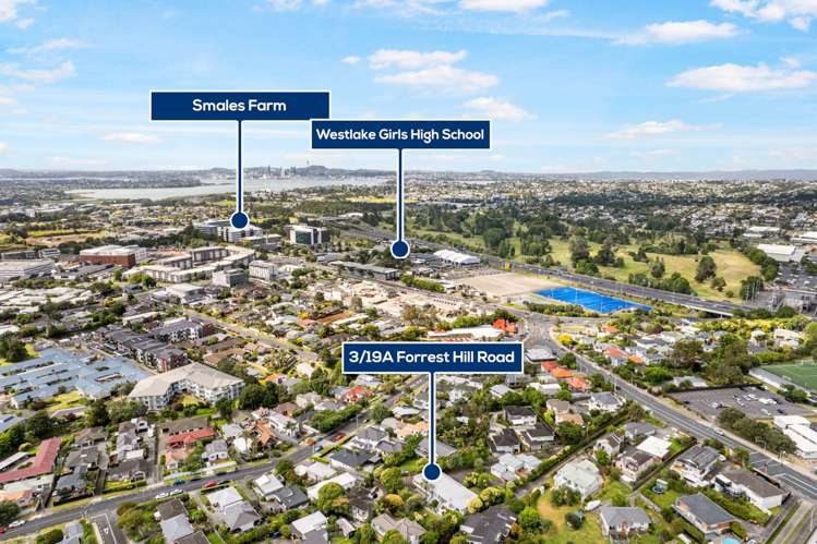 3/19a Forrest Hill Road Milford_16