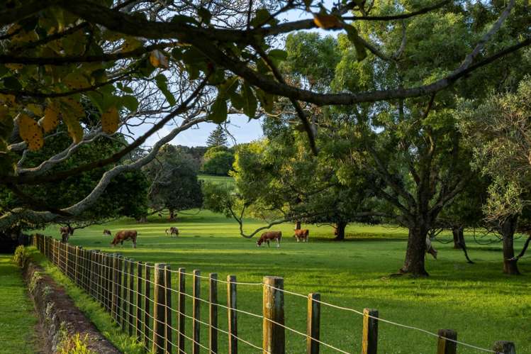 3/2 Tiwai Road Royal Oak_18