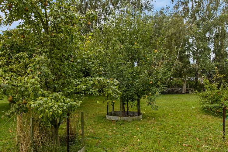 476 Falvey Road Levels_17