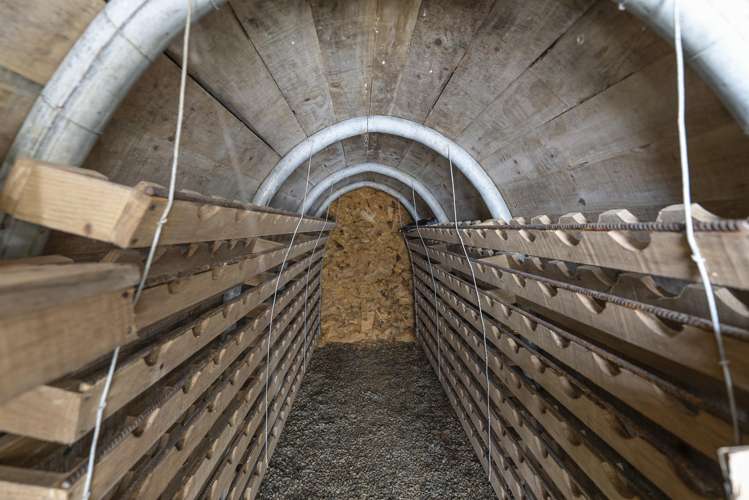 1863 Takaka-Collingwood Highway Collingwood_20