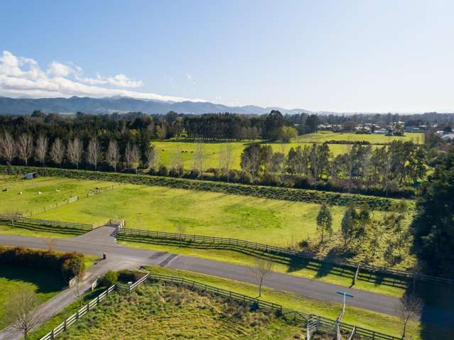 Governors Green Drive Greytown_2