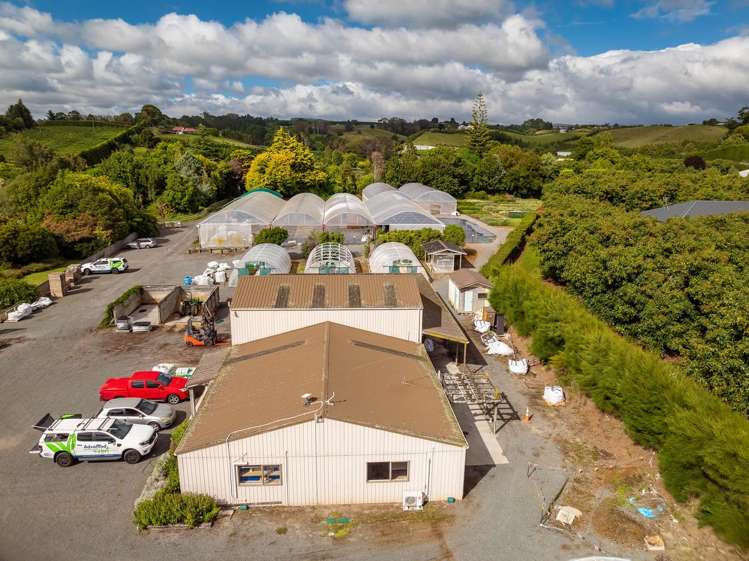 389 Old Highway Whakamarama_8