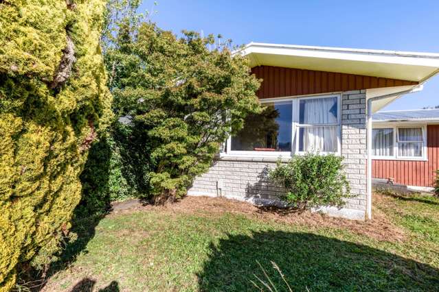 46 Karaka Crescent Levin_1