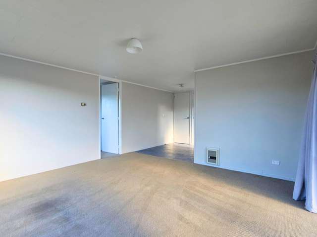 3b McKinley Lane Blenheim_1