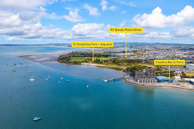 91 Bomb Point Drive Hobsonville_2