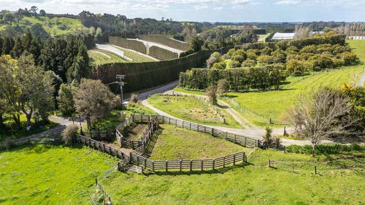 231 Walford Road Aongatete_22